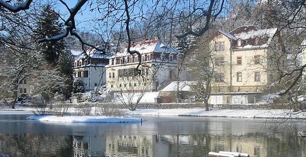 Teichhotel Schmalkalden Exterior foto
